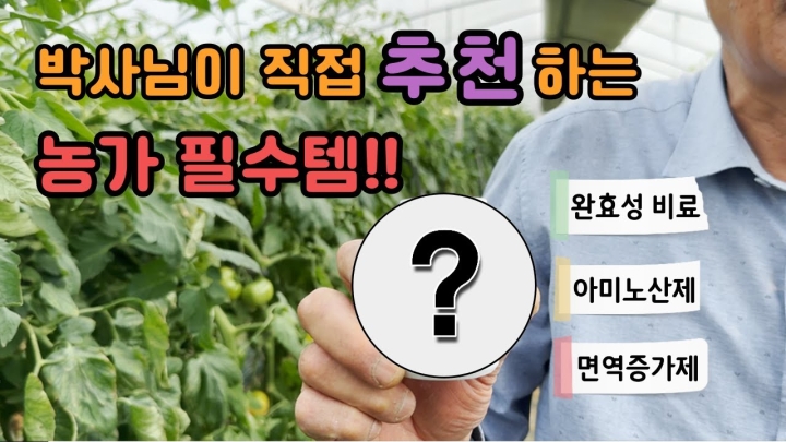 [공주 의당] 수확량 · 품질까지 잡은 토마토, 농가 존재
